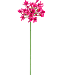 Künstlicher Agapanthus 77 cm rosa