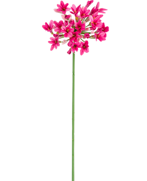 Die künstliche Blume Agapanthus 77 cm rosa hat einen einzelnen grünen Stiel mit mehreren Büscheln leuchtend rosa Blüten mit jeweils mehreren Blütenblättern vor einem schlichten weißen Hintergrund.