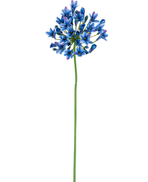 Die künstliche Blume Agapanthus 77 cm blau hat einen langen grünen Stiel mit einem Strauß leuchtend blauer und violetter Blüten auf einem schlichten weißen Hintergrund.
