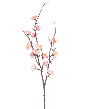 Der künstliche Zweig Prunus 78 cm rosa hat einen einzelnen dunkelbraunen Zweig mit kleineren Trieben, verziert mit rosa und weißen Kirschblütenblüten und grünen Knospen, vor einem schlichten weißen Hintergrund.