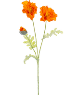 Eine botanische Illustration des künstlichen Blumenmohns 73 cm orange zeigt zwei offene orangefarbene Blüten und eine geschlossene Knospe an langen grünen Stielen mit hellgrünen, tief gelappten Blättern.