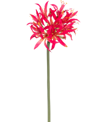 Künstliche Blume Nerine 70 cm fuchsie