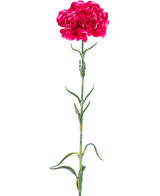 Die künstliche Blumennelke 69 cm in kräftigem Rosa besteht aus einer einzelnen leuchtend rosa Nelke mit Rüschen in den Blütenblättern, einem langen grünen Stiel und schlanken Blättern vor einem schlichten weißen Hintergrund.