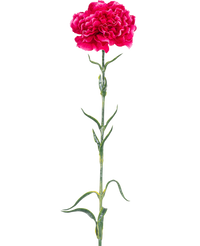Künstliche Blume Nelke 69 cm hart rosa