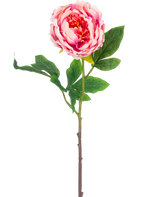 Die künstliche Pfingstrose 61 cm rosa besteht aus einer einzelnen rosa Pfingstrose mit üppig grünen Blättern und einem langen braunen Stiel, isoliert auf einem weißen Hintergrund.