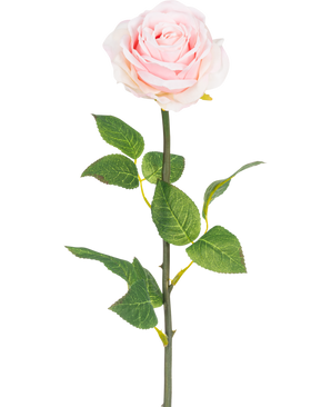 Eine klassische Kunstrose, 55 cm hoch, in Hellrosa mit grünen Blättern - Künstliche Blumenrose Classic 55 cm Hellrosa.