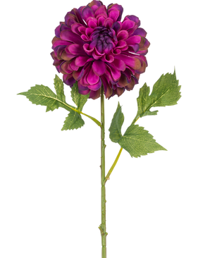 Eine einzelne künstliche Blumen-Dahlie, 50 cm, lila mit leuchtend violetten, geschichteten Blütenblättern und grünen Blättern, isoliert auf weißem Hintergrund.