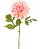Die künstliche Blumen-Dahlie 50 cm rosa ist eine einzelne rosafarbene künstliche Dahlie mit geschichteten Blütenblättern und einem grünen Stiel mit drei Sätzen gezackter Blätter vor einem weißen Hintergrund.