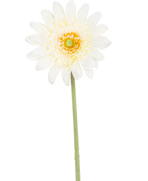 Die Kunstblume Gerbera 53 cm weiß hat eine einzelne weiße, gänseblümchenartige Blüte mit geschichteten Blütenblättern, einem gelbgrünen Herzen und einem langen grünen Stiel vor einem weißen Hintergrund.