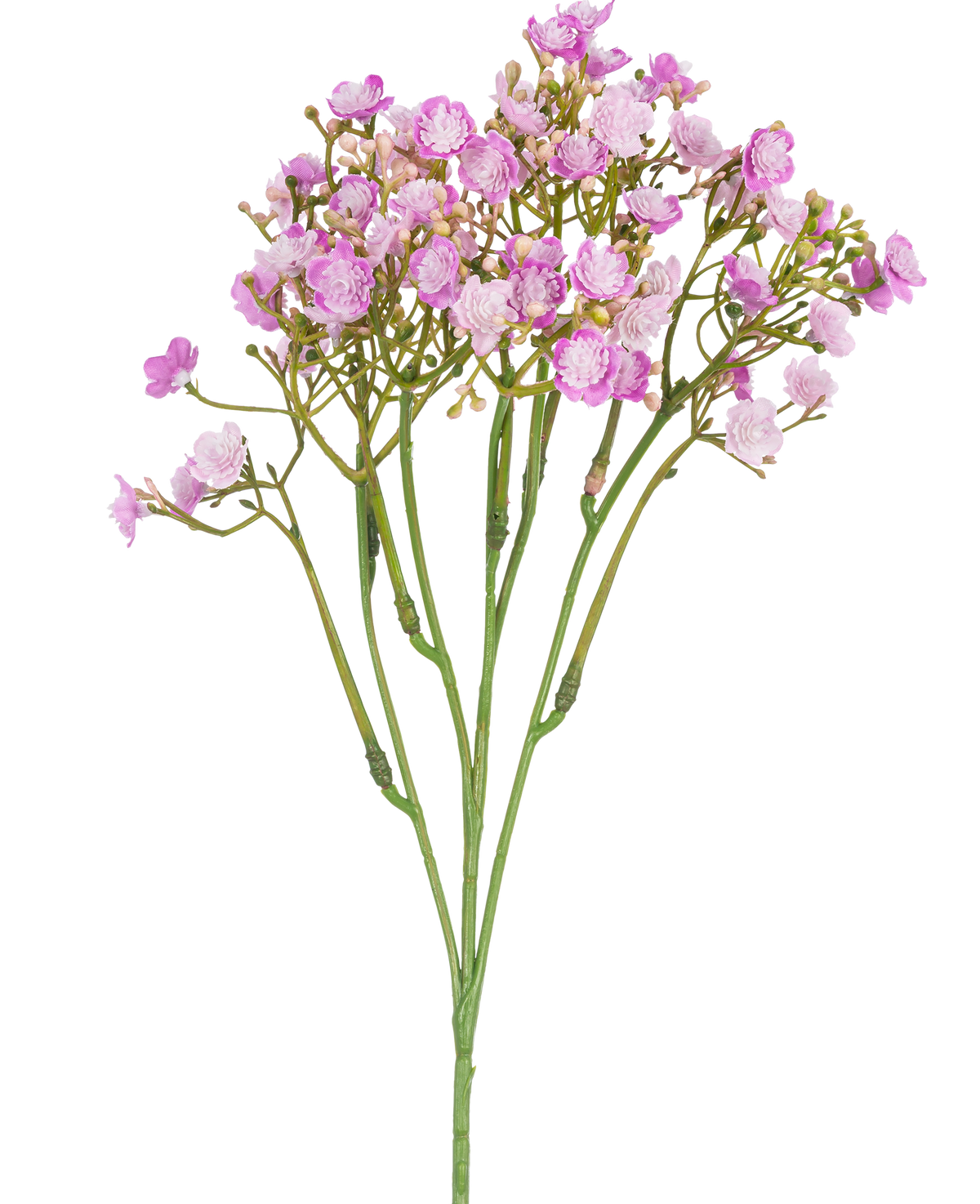 Der künstliche Schleierkrautzweig 46 cm rosa hat zartrosa Schleierkrautblüten mit kleinen, runden Blütenblättern an dünnen grünen Stielen vor einem weißen Hintergrund.