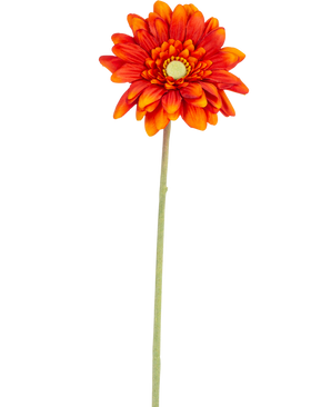 Die künstliche Blume Gerbera mini 47 cm in sanftem Orange ist ein künstliches Gänseblümchen mit geschichteten Blütenblättern, einem gelben Herzen und einem langen grünen Stiel, isoliert auf einem weißen Hintergrund.