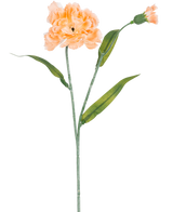 Die künstliche Blumennelke 40 cm Pfirsich ist eine künstliche Nelke in hellem Pfirsich mit grünen Blättern und einer kleinen ungeöffneten Knospe, dargestellt auf weißem Hintergrund.