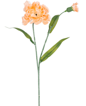 Die künstliche Blumennelke 40 cm Pfirsich ist eine künstliche Nelke in hellem Pfirsich mit grünen Blättern und einer kleinen ungeöffneten Knospe, dargestellt auf weißem Hintergrund.