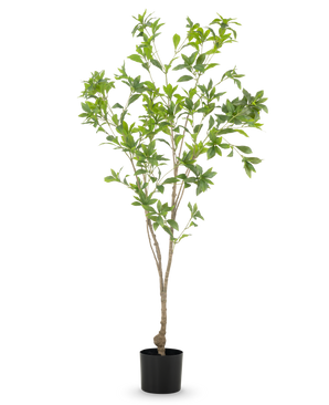 Die Kunstpflanze Pieris Japonica 150 cm hat schlanke Zweige und reichlich grüne Blätter in einem einfachen schwarzen Topf vor einem weißen Hintergrund.