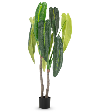 De Kunstplant Anthurium 180 cm heeft twee bruine stelen en grote, langwerpige groene bladeren in verschillende tinten, in een kleine zwarte pot tegen een witte achtergrond.