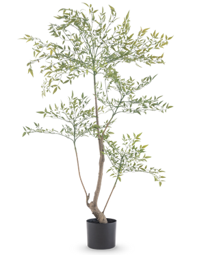 Der Künstliche Ruscus 120 cm ist eine hohe, schlanke Kunstpflanze mit langen dünnen Zweigen mit vielen kleinen grünen Blättern. Es steht in einem einfachen schwarzen Topf und bringt realistisches Grün in jeden Raum, ohne dass es einer Wartung bedarf.
