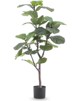 Die Kunstpflanze Ficus Tabakpflanze Deluxe 125 cm hat große, glänzend grüne Blätter und einen schlanken braunen Stiel in einem schwarzen Topf, der als grüne Zimmerpflanze vor weißem Hintergrund für afrikanische Atmosphäre sorgt.