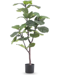 Kunstpflanze Ficus Tobacco Plant Deluxe 125 cm