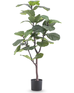 Die Kunstpflanze Ficus Tabakpflanze Deluxe 125 cm hat große, glänzend grüne Blätter und einen schlanken braunen Stiel in einem schwarzen Topf, der als grüne Zimmerpflanze vor weißem Hintergrund für afrikanische Atmosphäre sorgt.