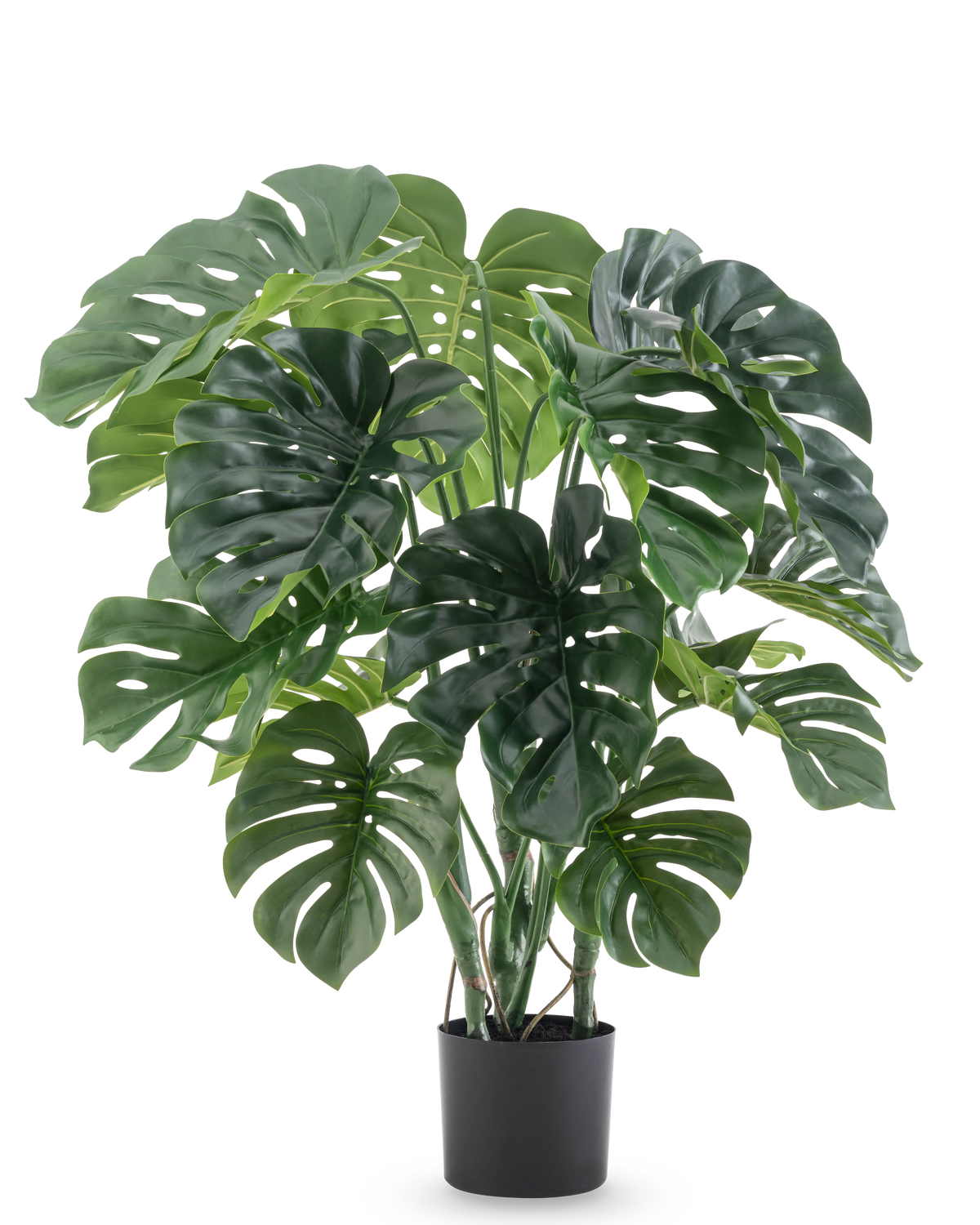 Die Kunstpflanze Monstera 90 cm hat große, gespaltene grüne Blätter und wird in einem schwarzen Topf vor einem schlichten weißen Hintergrund geliefert.