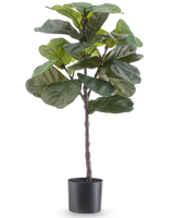 Die Kunstpflanze Ficus Tabakpflanze Deluxe 90 cm ist eine hohe künstliche Zimmerpflanze mit großen, glänzend grünen Blättern in einem schwarzen Topf, dargestellt vor einem schlichten weißen Hintergrund.