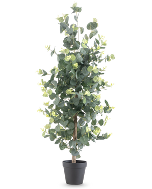 Kunstpflanze Eukalyptus 91 cm mit runden grünen Blättern und kleinen gelben Akzenten in einem schwarzen Topf, dargestellt vor einem schlichten weißen Hintergrund.
