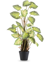 Die Kunstpflanze Alocasia Odora 90 cm hat große, grüne, herzförmige Blätter und mehrere Stiele in einem einfachen schwarzen Topf vor einem schlichten weißen Hintergrund.