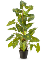 Die Kunstpflanze Trapa Bispinosa 90 cm grün ist eine Topfpflanze mit großen, grünen, herzförmigen Blättern mit gelben Adern, in einem schwarzen Topf vor einem schlichten hellen Hintergrund.