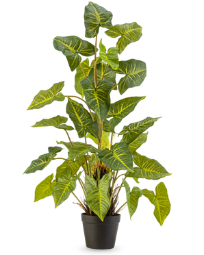 Die Kunstpflanze Trapa Bispinosa 90 cm grün ist eine Topfpflanze mit großen, grünen, herzförmigen Blättern mit gelben Adern, in einem schwarzen Topf vor einem schlichten hellen Hintergrund.