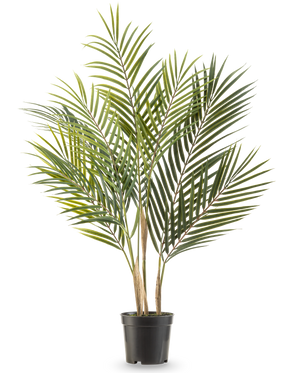 Die Kunstpalme Chamaedorea 71 cm hat lange, schlanke grüne Blätter und mehrere Stämme, wodurch sie vor einem weißen Hintergrund wie eine hohe Palme in einem Topf aussieht.