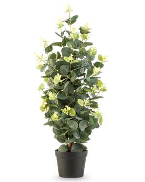Die Kunstpflanze Eukalyptus 61 cm ist eine Kunstpflanze im Topf mit grünen Blättern in einem schlichten schwarzen Topf, die aufrecht vor einem weißen Hintergrund steht.