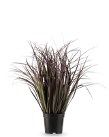Die feuerhemmende Kunstrasenpflanze Wild Lawn 50 cm hat hohe, schmale, dunkelviolette Blätter in einem schwarzen Topf vor weißem Hintergrund – eine stilvolle Kunstpflanze, ideal für moderne Innenräume.