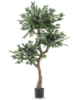 Die Kunstpflanze Ficus Crazy 150 cm ist ein hoher Kunstbaum mit drei Büscheln dichter grüner Blätter und einem gedrehten braunen Stamm in einem schlichten schwarzen Topf vor weißem Hintergrund.