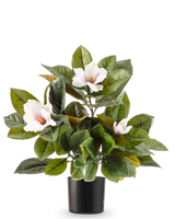 Die künstliche Magnolienpflanze im 46-cm-Topf ist eine pflegeleichte Pflanze mit großen, glänzend grünen Blättern und drei hellrosa Blüten mit gelbem Herz, in einem schlichten schwarzen Topf vor weißem Hintergrund.