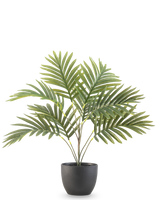 Die künstliche Palme Phönix 50 cm hat lange grüne, gebogene Blätter in einem runden schwarzen Ziertopf vor einem schlichten weißen Hintergrund.