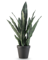 Die Kunstpflanze Sansevieria Zeylanica 44 cm hat lange, aufrechte grüne Blätter mit bunten Mustern, präsentiert in einem schlichten schwarzen Topf vor einem schlichten weißen Hintergrund.