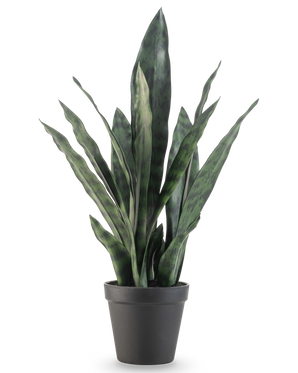 Die Kunstpflanze Sansevieria Zeylanica 44 cm hat lange, aufrechte grüne Blätter mit bunten Mustern, präsentiert in einem schlichten schwarzen Topf vor einem schlichten weißen Hintergrund.