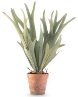 Der künstliche Farn-Hirschhorn 43 cm hat naturgetreue grüne, geweihförmige Blätter in einem kleinen Terrakottatopf auf weißem Hintergrund.
