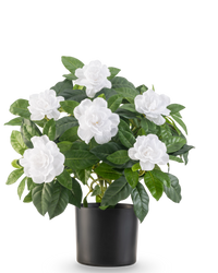 Künstliche Pflanze Gardenia 39 cm weiß