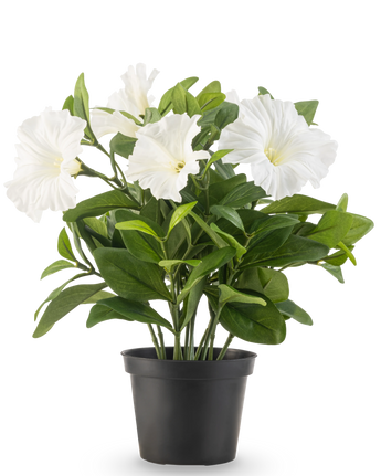 Die künstliche Blumenpflanze Petunie UV 25 cm hoch hat große weiße trompetenförmige Blüten und üppig grüne Blätter in einem schwarzen Kunststofftopf vor einem schlichten weißen Hintergrund.