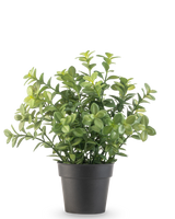 Die Kunstpflanze Eukalyptus 27 cm hat dichte grüne Blätter in einem schlichten dunkelgrauen Topf vor einem schlichten weißen Hintergrund.