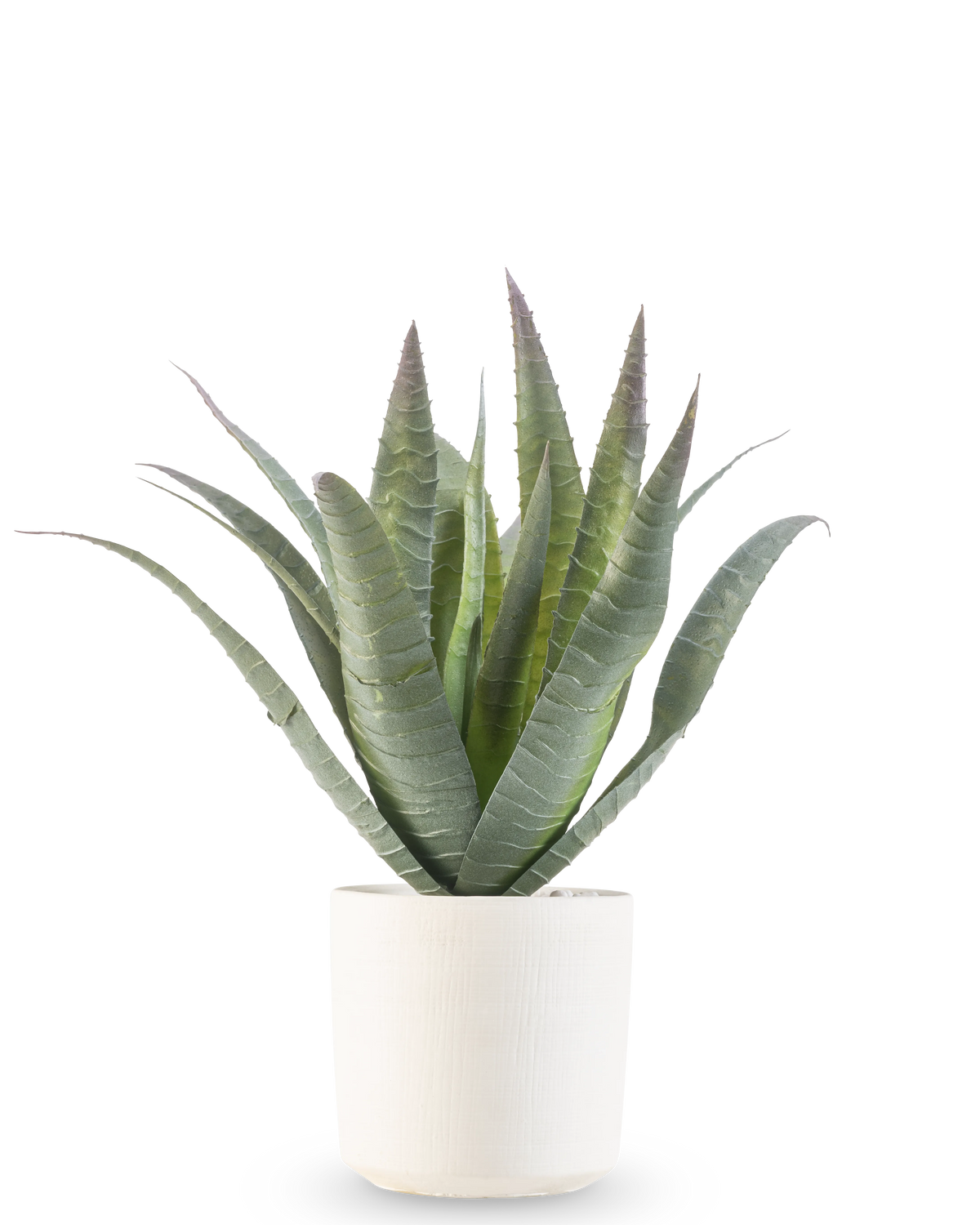 Die künstliche Agave 30 cm im dekorativen Topf hat eine grüne Sukkulente mit langen, spitzen Blättern, die nach oben wachsen, präsentiert in einem einfachen weißen, strukturierten Topf vor einem schlichten weißen Hintergrund.