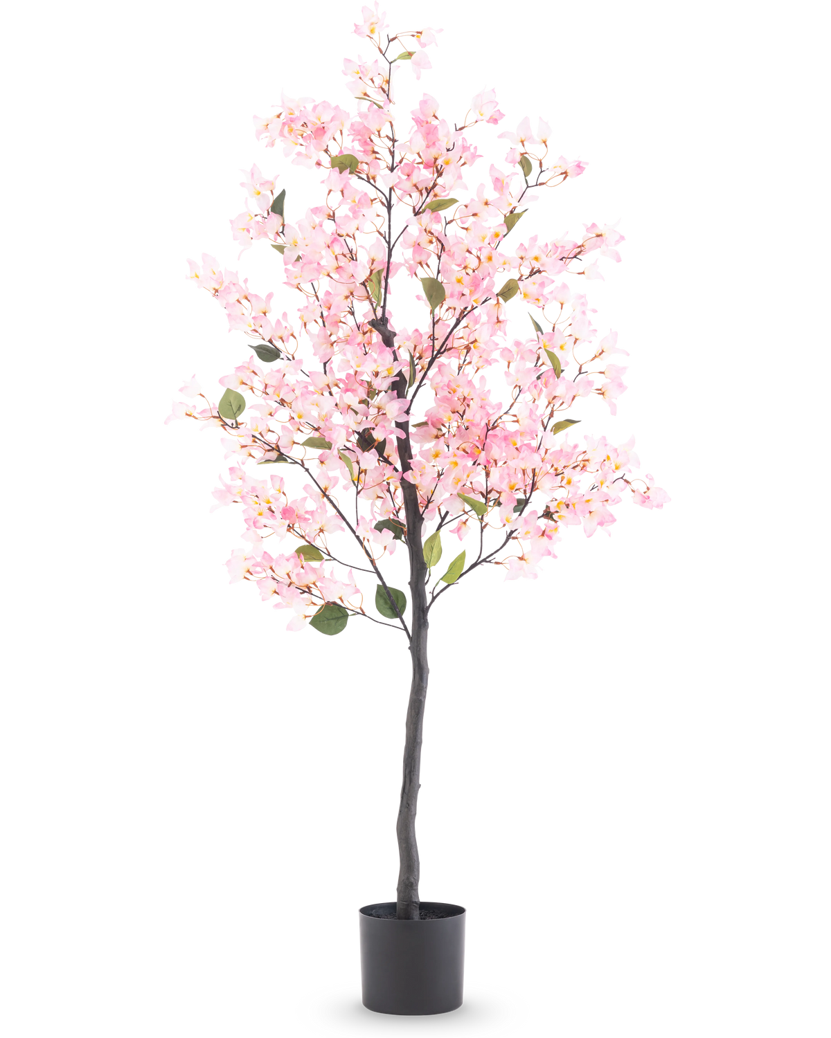 Künstliche Pflanze Bougainvillea 150 cm rosa mit rosa Blüten und grünen Blättern in einem schwarzen Topf, isoliert auf weißem Hintergrund.