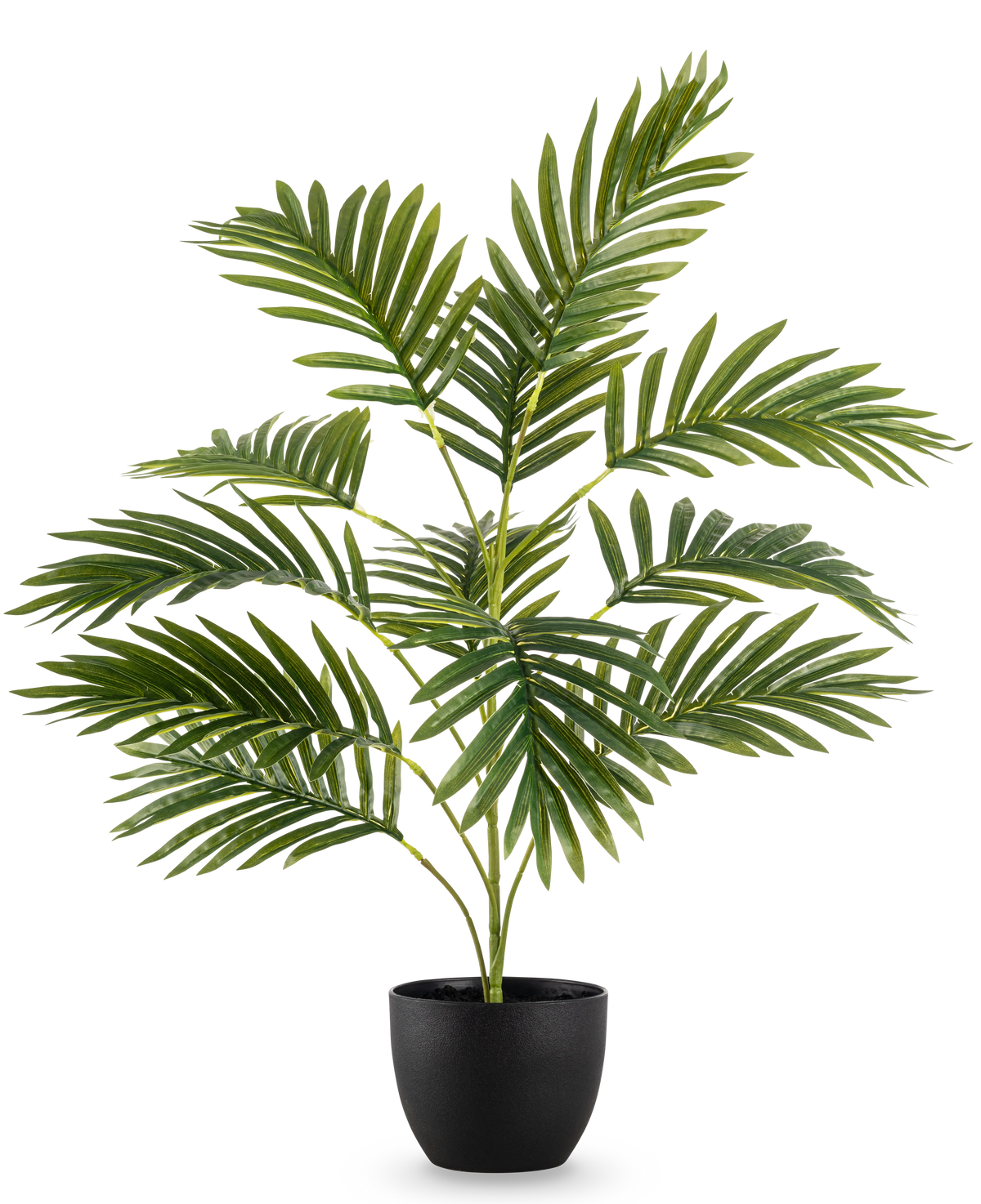 Die künstliche Palme Phönix 65 cm mit sattgrünen Blättern steht in einem eleganten schwarzen Dekotopf vor einem schlichten weißen Hintergrund.