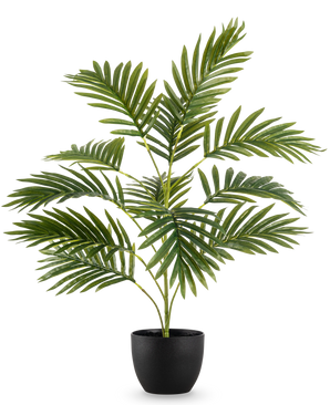 Die künstliche Palme Phönix 65 cm mit sattgrünen Blättern steht in einem eleganten schwarzen Dekotopf vor einem schlichten weißen Hintergrund.
