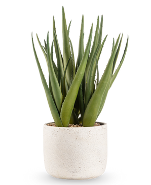 Die Kunstpflanze Aloe Vera 43 cm hat lange, spitze grüne Blätter in einem kleinen, runden Topf mit weißer Struktur und Kieselsteinen, vor einem schlichten weißen Hintergrund.