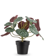 Die Kunstpflanze Saxifraga 27 cm hat grüne Blätter mit weißen Adern und rotvioletten Unterseiten, präsentiert in einem schlichten schwarzen Topf vor einem schlichten weißen Hintergrund.