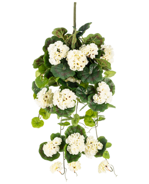 Die künstliche Hängepflanze Geranie 75 cm weiß ist eine künstliche Hängepflanze mit Büscheln aus weißen Blüten und grünen Blättern, vertikal vor einem schlichten weißen Hintergrund.