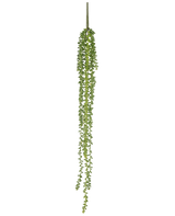Die künstliche Hängepflanze Senecio 91 cm hat lange, gewundene Stränge mit kleinen runden grünen Blättern, die senkrecht vor einem schlichten weißen Hintergrund hängen.