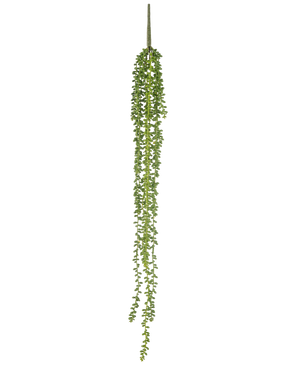Die künstliche Hängepflanze Senecio 91 cm hat lange, gewundene Stränge mit kleinen runden grünen Blättern, die senkrecht vor einem schlichten weißen Hintergrund hängen.